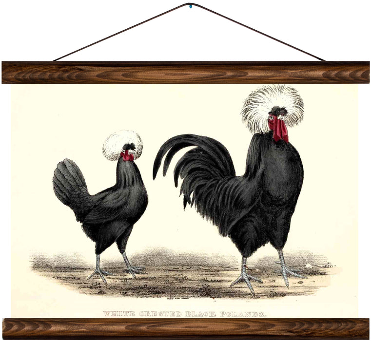 White crested black poland chicken, reprint on linen - Josef und Josefine