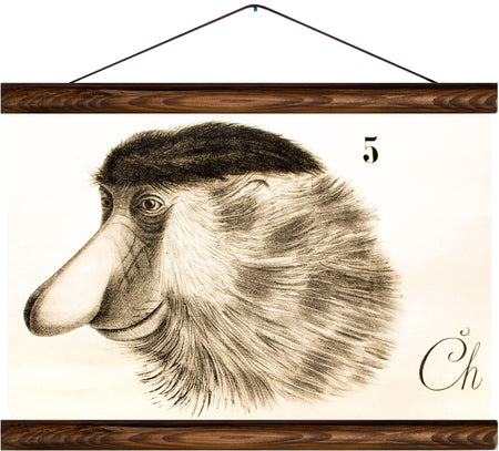 Proboscis monkey, reprint on linen - Josef und Josefine