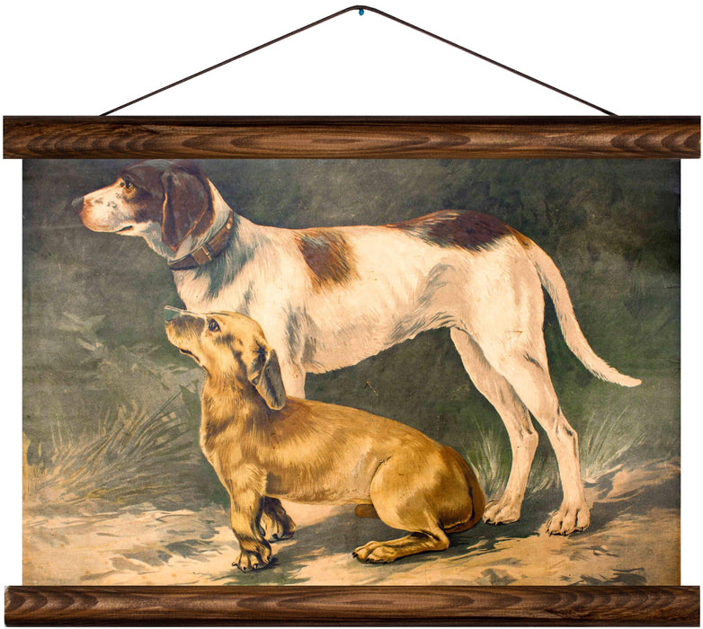 Dogs, reprint on linen - Josef und Josefine