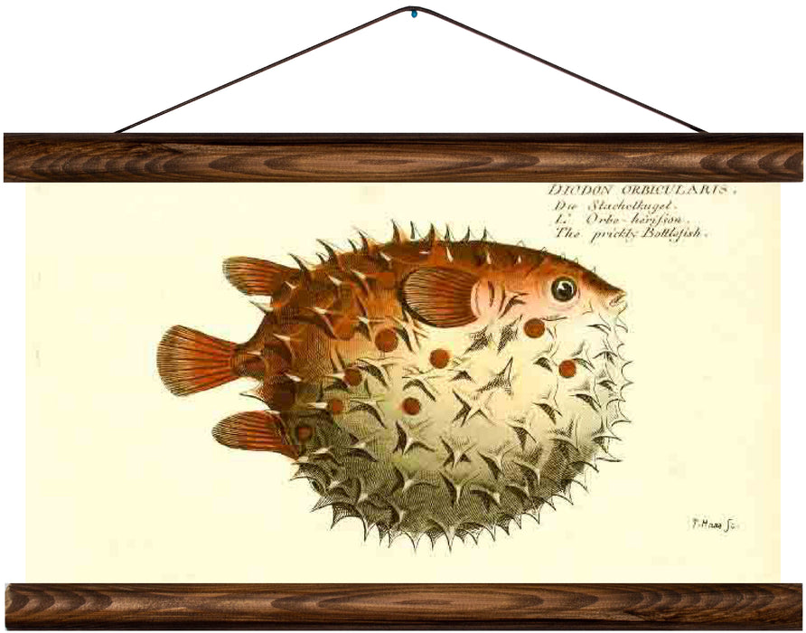 Pufferfish, reprint on linen - Josef und Josefine