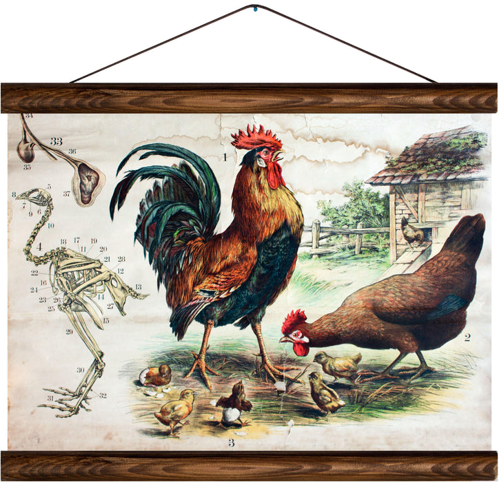 Chicken, reprint on linen - Josef und Josefine