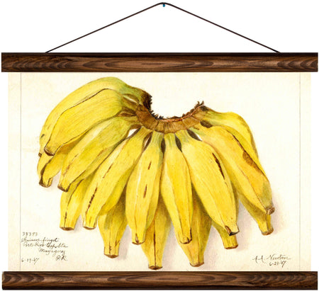 Bananas, reprint on linen - Josef und Josefine