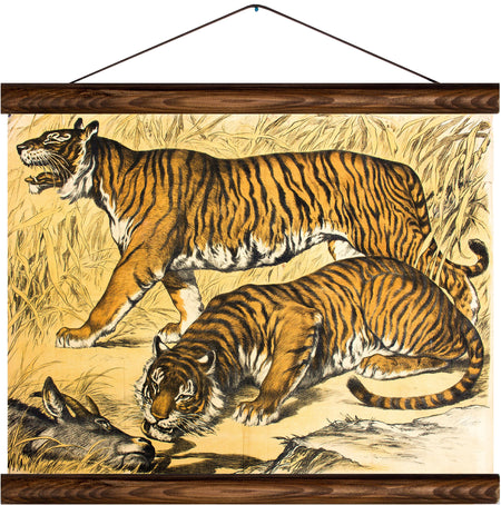 Tiger, reprint on linen - Josef und Josefine