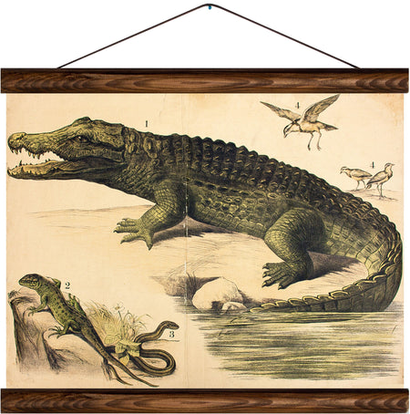 Crocodile, reprint on linen - Josef und Josefine