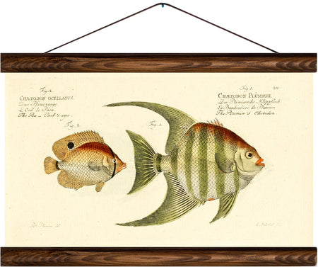 Fish, reprint on linen - Josef und Josefine