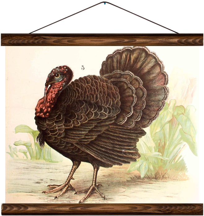 Turkey, reprint on linen - Josef und Josefine