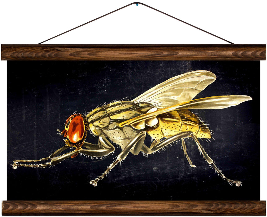 Housefly, reprint on linen - Josef und Josefine