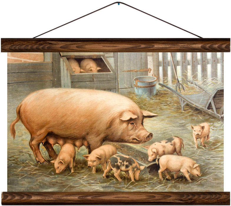 Domestic pig, reprint on linen - Josef und Josefine