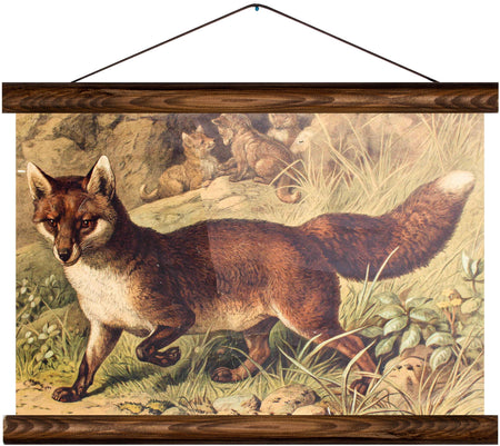 Fox, reprint on linen - Josef und Josefine