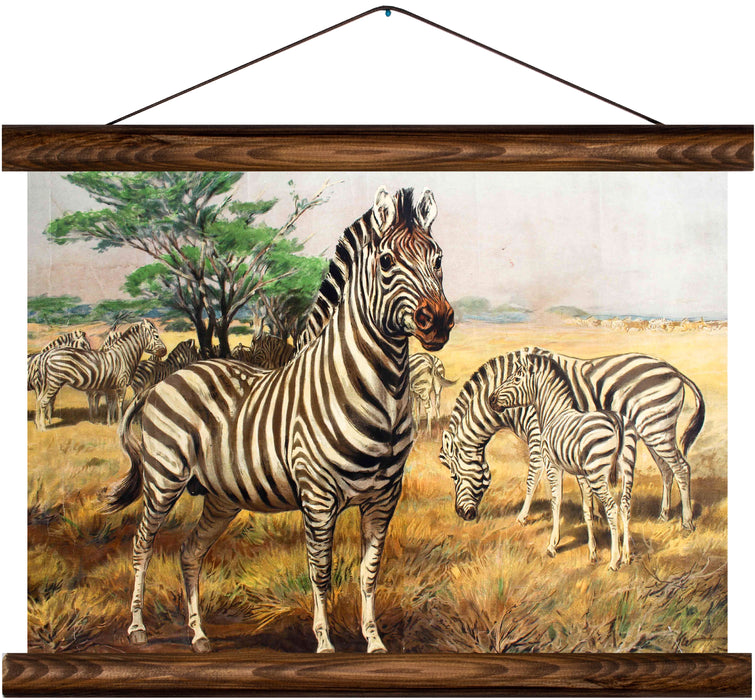 Zebras, reprint on linen - Josef und Josefine