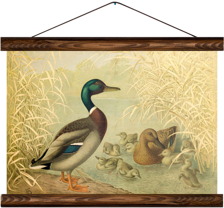 Ducks, reprint on linen - Josef und Josefine