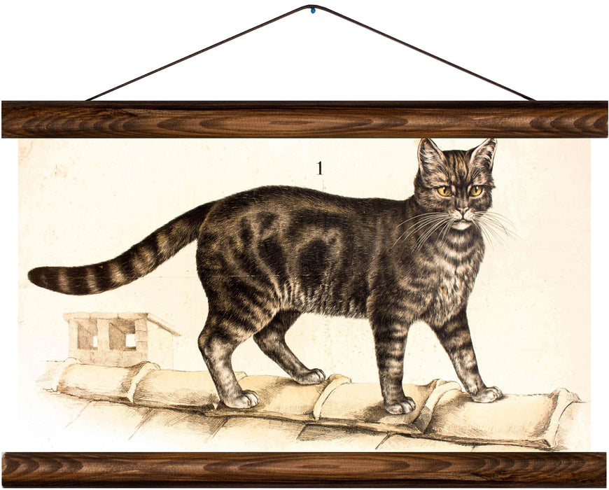 Cat, reprint on linen - Josef und Josefine