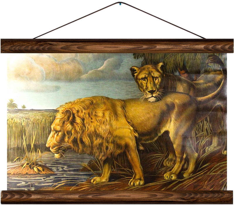 Lions, reprint on linen - Josef und Josefine