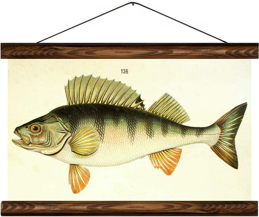 Perch, reprint on linen - Josef und Josefine