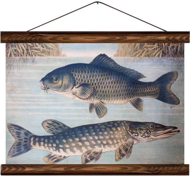 Carp and pike, reprint on linen - Josef und Josefine