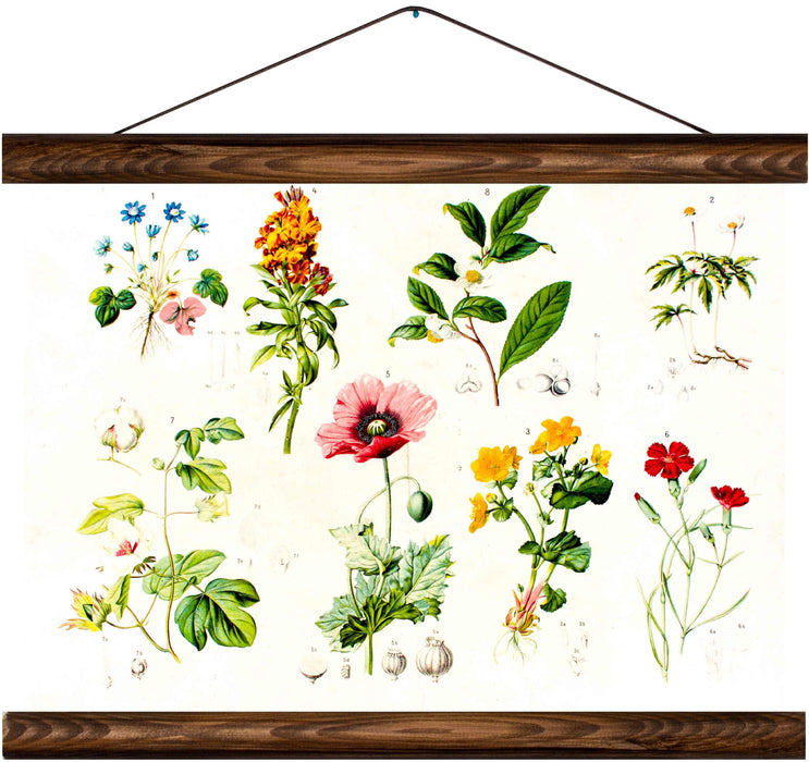 Different types of flowers, reprint on linen - Josef und Josefine