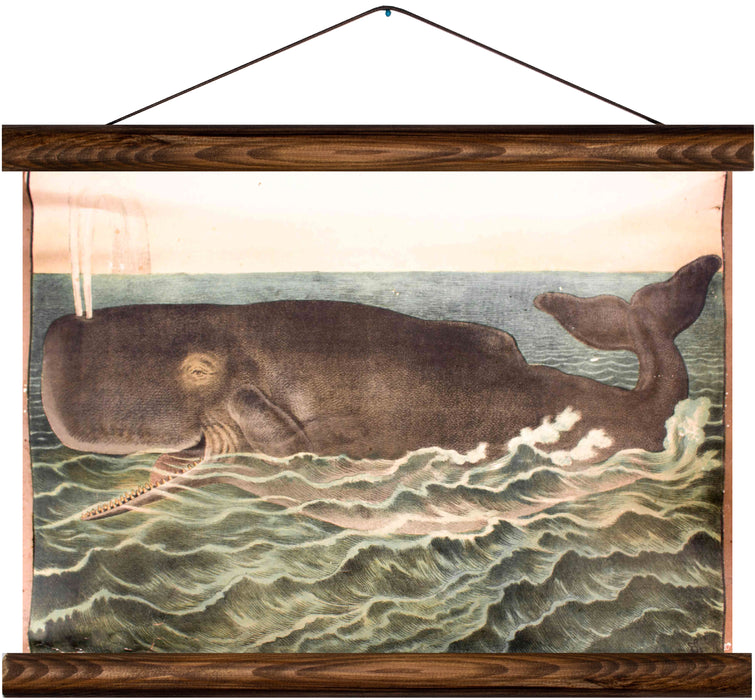 Whale, reprint on linen - Josef und Josefine