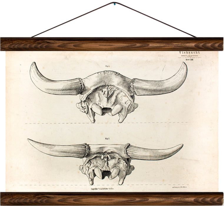 Cattle breeding, reprint on linen