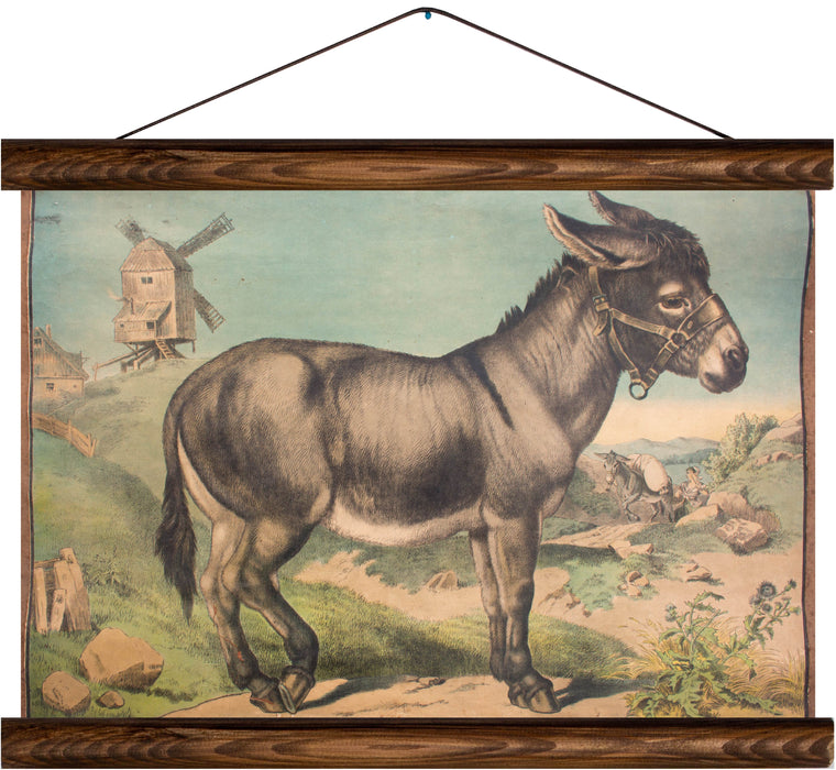 Donkey, reprint on linen