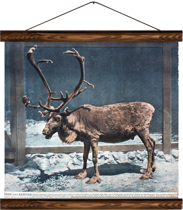 Reindeer, reprint on linen