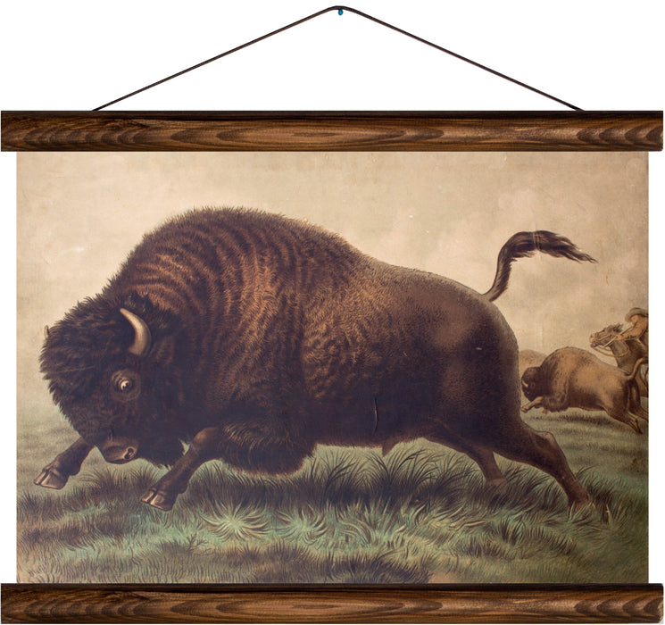 Bison, reprint on linen