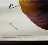 Regenwurm, Wall Chart Earth Worm, by Dr. Paul Pfurtscheller, 1906 - Josef und Josefine