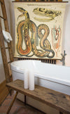 Schlange, Grass Snake by Paul Pfurtscheller, 1920 - Josef und Josefine