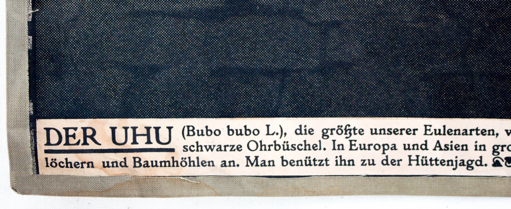 Uhu, glue, Vintage Wall Chart, Schönbrunn Series, 1916 - Josef und Josefine
