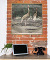 Kranich, crane, Schönbrunn Series, Vintage Wall Chart, 1916 - Josef und Josefine