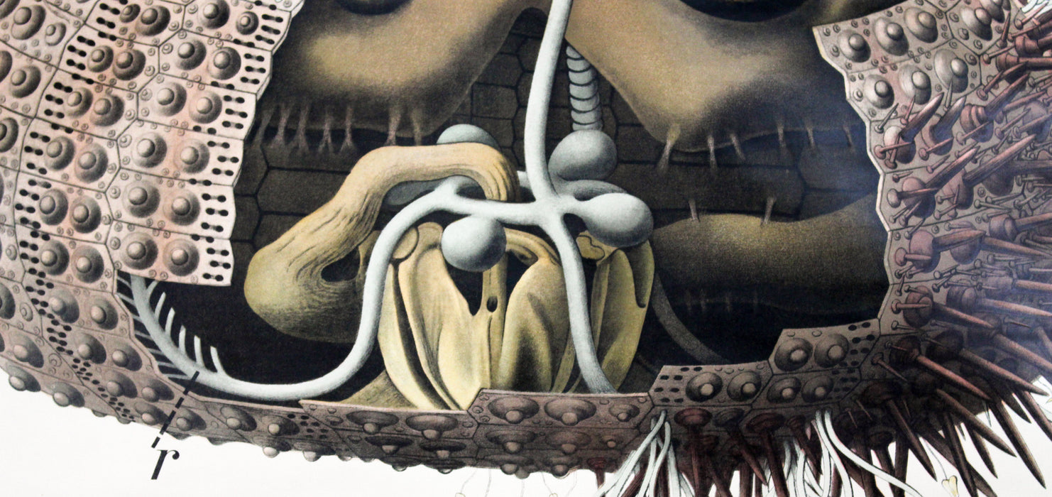 Seeigel, Sea Urchin by Paul Pfurtscheller, 1929 - Josef und Josefine