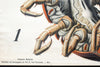 Tausendfüssler, Centipede by Paul Pfurtscheller, 1912 - Josef und Josefine