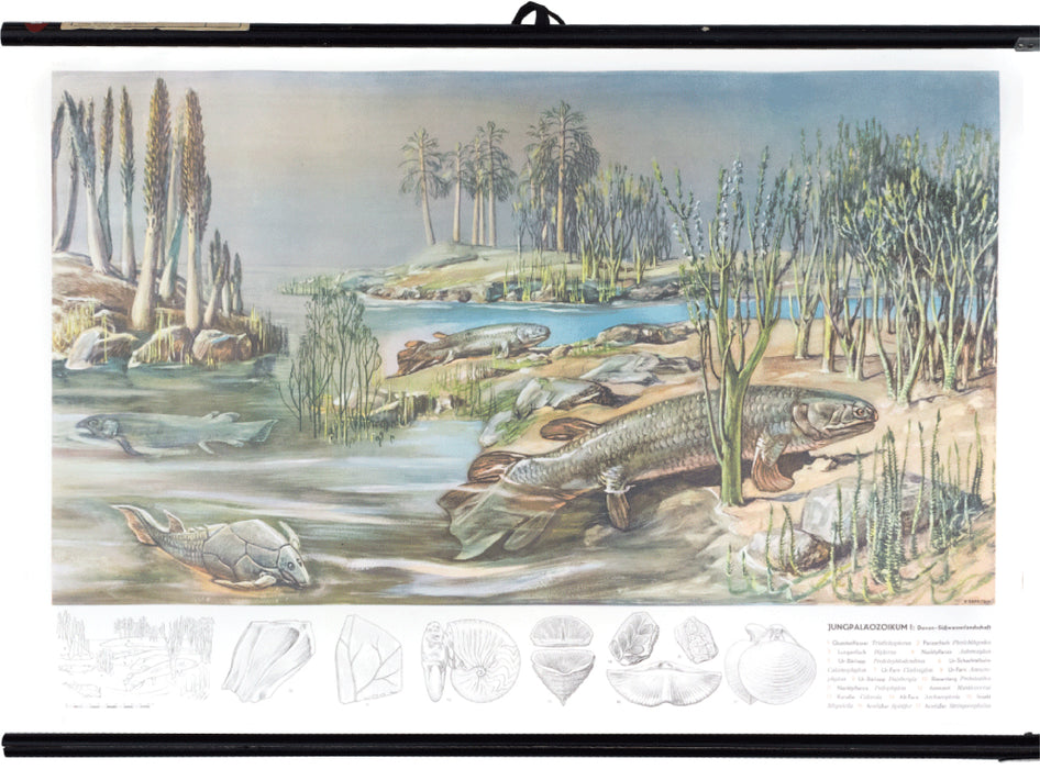 Young paleozoic 1, devonian freshwater landscape, 1950 - Josef und Josefine
